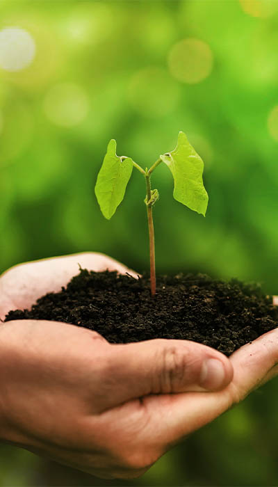 Çevrecilik Anlayışımız